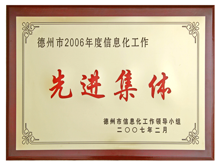 信息化先进集体